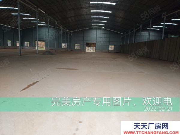 株洲市蘆淞區新建倉庫和廠房優價出租