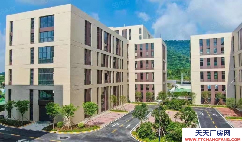 (出售) 佛山順德準現樓廠房買三得六 帶50年紅本 首付2成起