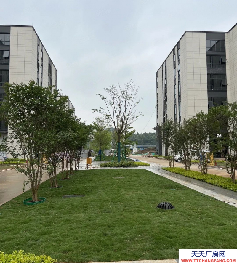 (出售) 佛山順德2700方小面積3.5層獨(dú)棟,全新國有工業(yè)用地送電梯可辦環(huán)評(píng)