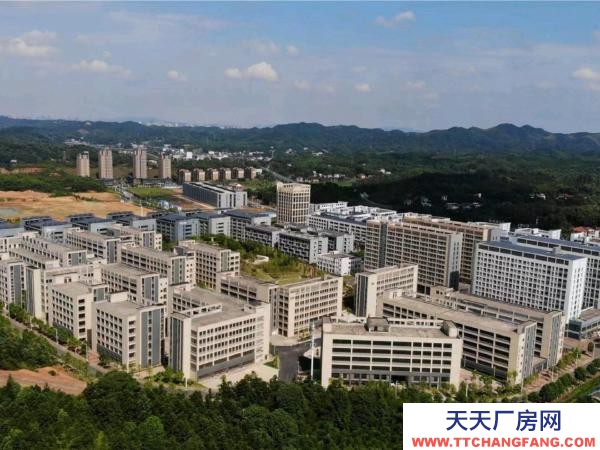 株洲市蘆淞區(qū)白關服飾城二期廠房招商