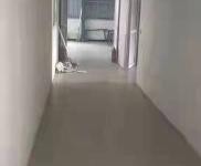 (出售) 黃岡黃州誠心出售該廠房加土地