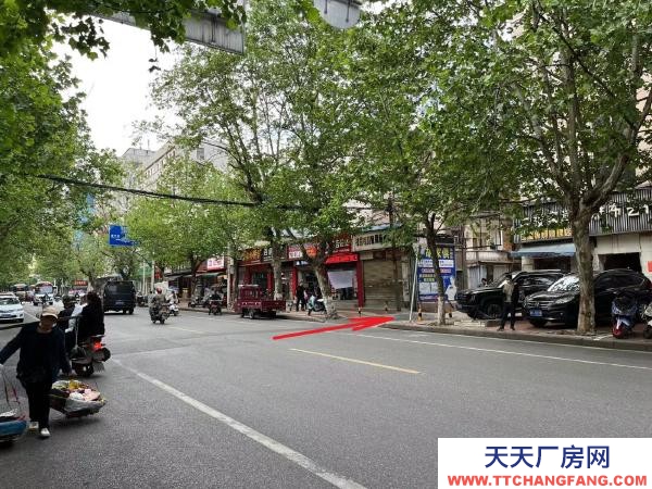 株洲市蘆淞區(qū)三角叉南大門、星通、徐家橋附近一樓倉庫