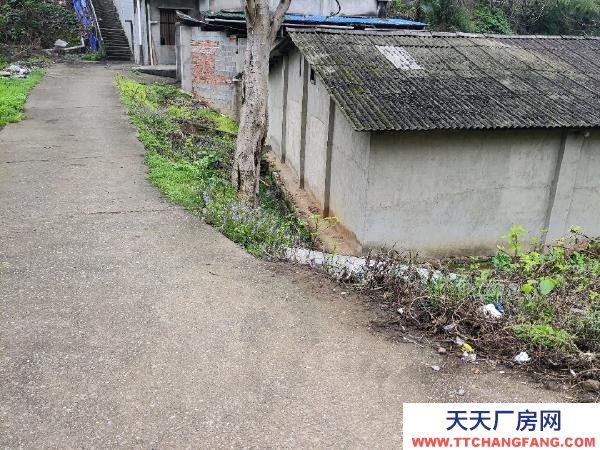 株洲市蘆淞區(qū)可整租也可分租，長租更優(yōu)惠