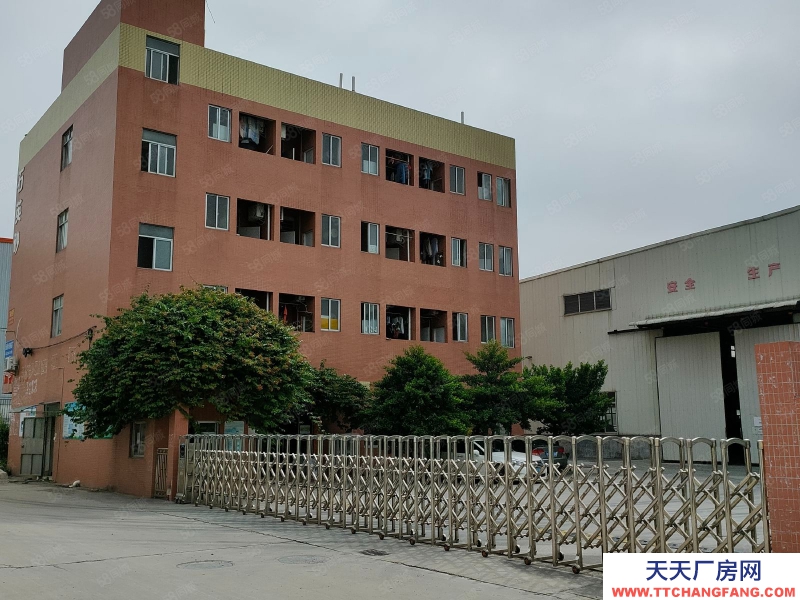 (出租) 佛山南海丹灶低價廠房出租或轉讓
