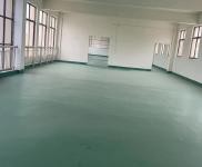 (出租) 黃岡紅安開發商直租，專業食品工業園HA