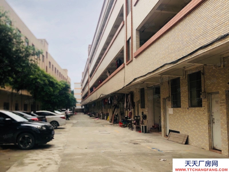 (出租) 佛山禪城20萬方工業園業主直租，廠房倉庫都可