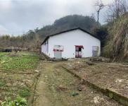 (出租) 黃岡羅田在河鋪鎮白鶴灣村（自家建的）