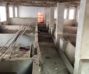 (出租) 黃岡羅田在河鋪鎮(zhèn)白鶴灣村（自家建的）