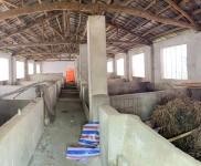 (出租) 黃岡羅田在河鋪鎮(zhèn)白鶴灣村（自家建的）