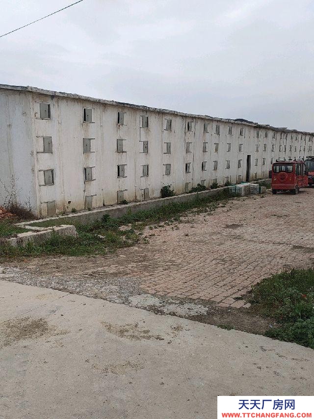 (出售) 阜陽(yáng)潁上適合大棚蔬菜種植各類食用菌種植