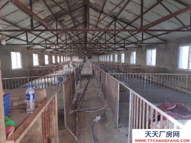 (出售) 阜陽潁上養殖場，可以做廠房。三相電養殖用電，電價便宜，路好