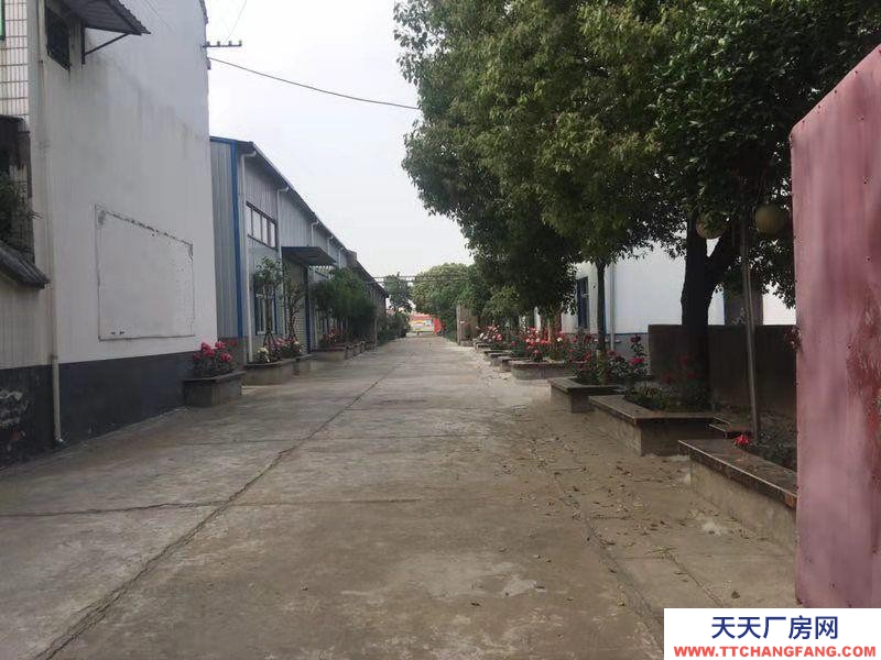 (出售) 阜陽阜南酒廠出售，各項設施完善