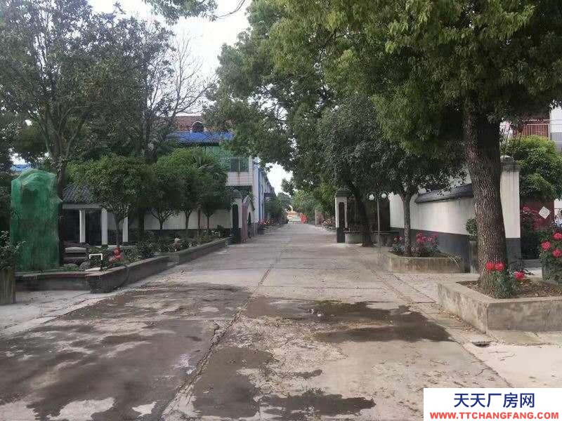 (出售) 阜陽阜南酒廠出售，各項設施完善