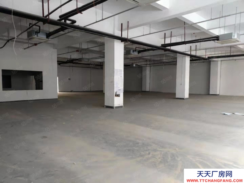 (出租)阜陽潁泉 2001000平的大通道廠房 可進大車