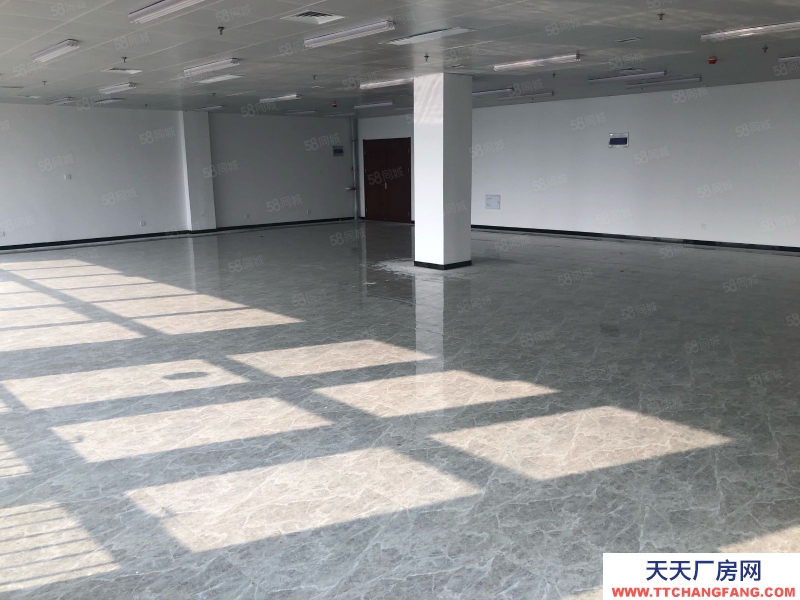 (出租)阜陽太和 政府產權電商園區場地招商