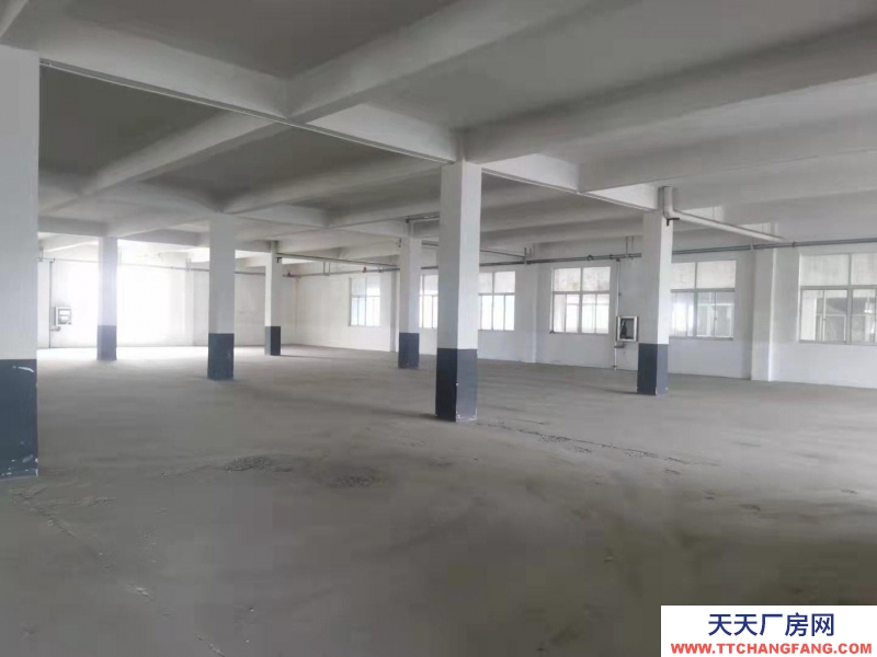 (出租) 阜陽(yáng)太和團(tuán)結(jié)東路兩棟廠房獨(dú)門獨(dú)院