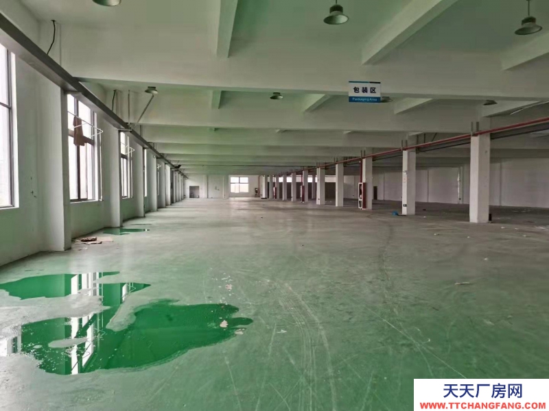 (出租) 阜陽太和團結東路兩棟廠房獨門獨院