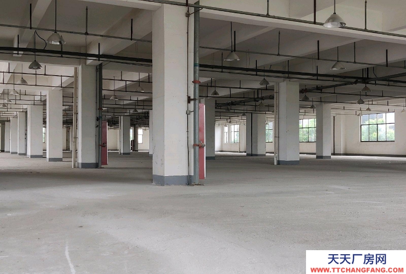 (出租) 阜陽阜南非中介，二樓，電話聯系，全新廠房