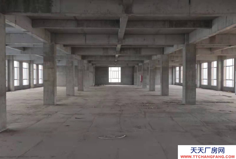 (出租)阜陽臨泉五六層對外出租，可當倉庫，廠房；培訓機構；寫字樓