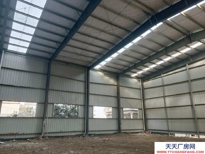 (出租) 阜陽臨泉新建廠房，在050縣道邊上