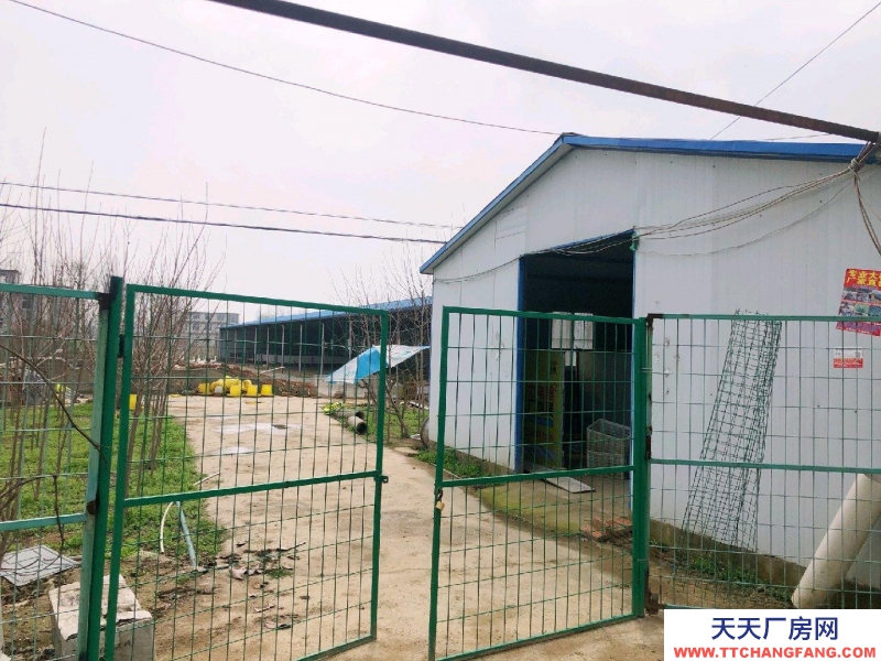 (出租) 阜陽臨泉價格面議，廠房倉庫養殖均可