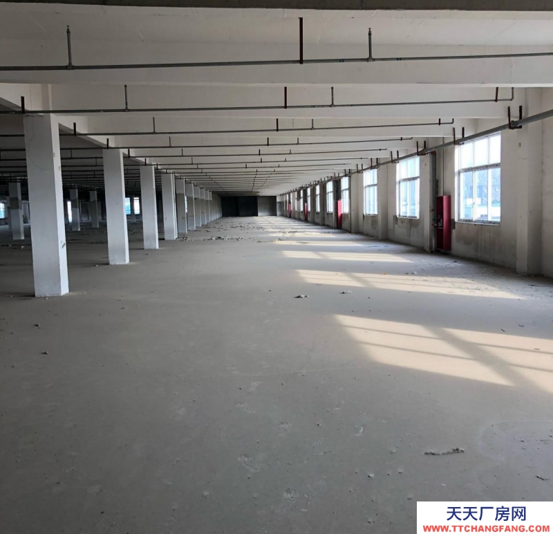 (出租) 阜陽界首塑料造粒粉碎注塑成品