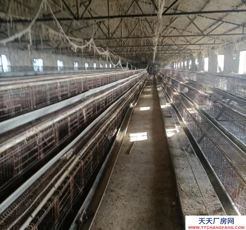 (出租)阜陽界首 個人房源，做養(yǎng)殖，小廠房都很合適，出路好