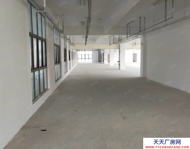 (出租) 淮南田家庵705輕加工服裝廠出租整層1410平方獨立雙電梯獨消防已