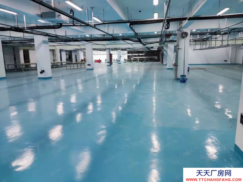 (出租) 淮南田家庵大面積廠房，400到2000方可提供辦公，政策優越，環境好