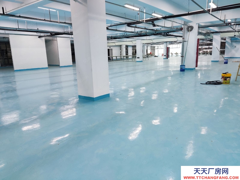 (出租) 淮南田家庵價格便宜包滿意 2000以內廠房 倉儲隨便挑都可以