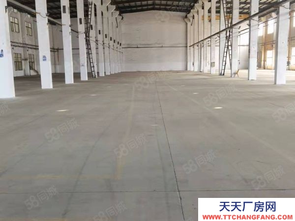 蘇州市相城區(qū)陽(yáng)澄湖出租單層5500平 有5部行車(chē)