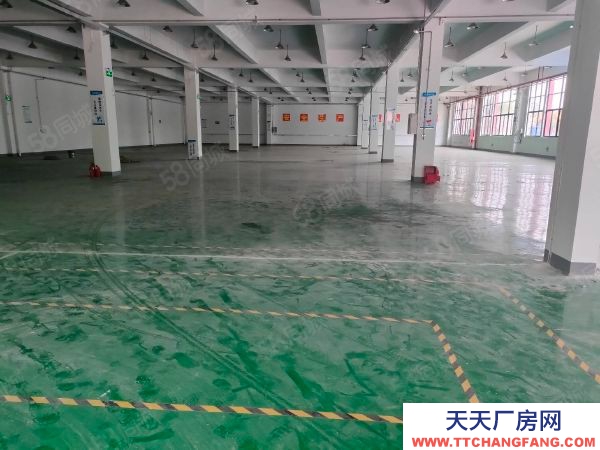 蘇州市相城區黃埭工業區 標準廠房一樓1000平 車輛進出便利