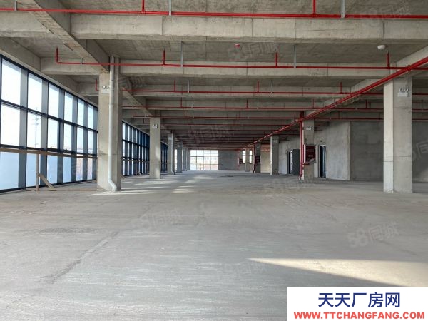 蘇州市相城區單層鋼結構和多層框架廠房,1200平起可定制,企業補貼