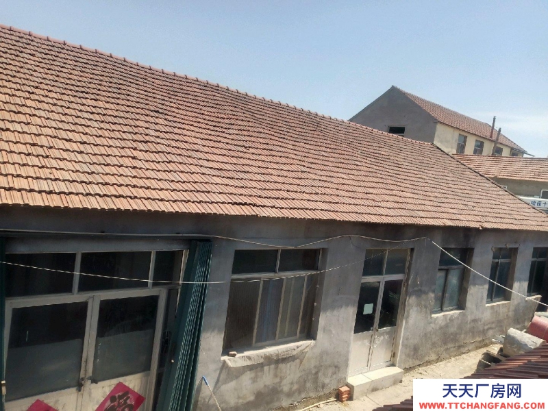 萊山平房，11米寬，可作倉庫，小廠房