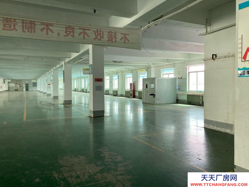 萊山倉庫出租，水電方便，位置便捷