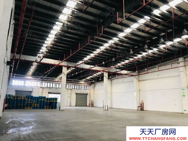 蘇州市相城區新出2000平方標準物流倉庫出租，大車好周轉，車輛進出方便