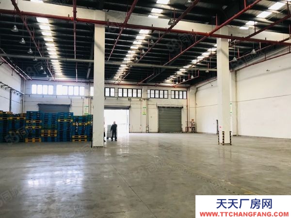 蘇州市相城區新出2000平方標準物流倉庫出租,大車好周轉,車輛進出方便