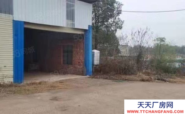 株洲市石峰區X051旁坪房東自建標準廠房倉庫優價急出租