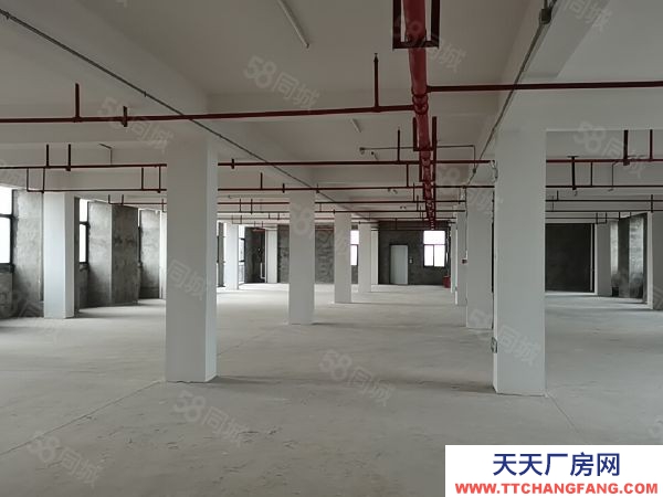 株洲市石峰區清水塘全新標準廠房全球招商（可租可售）享受稅收返還獎補