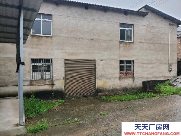 (出租) 田心立交附近私房200平大通間出租，個人房東。