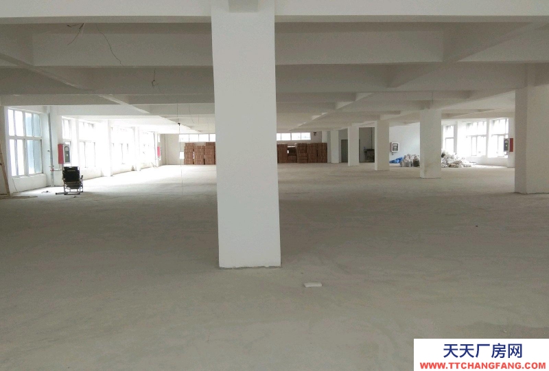 (出租)安慶迎江區(qū)碧桂園附近廠房(無中介費)