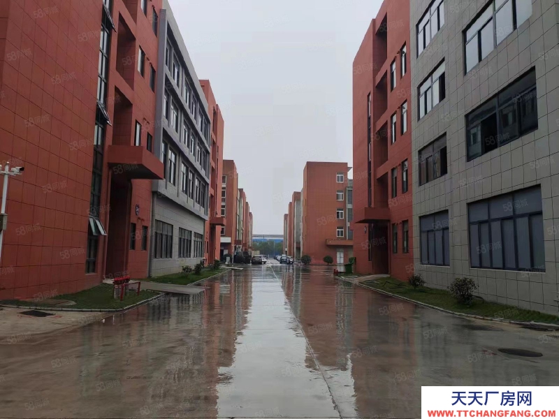 (出租) 安慶迎江出租 倉庫出租 單價12元起 面積600到4000平不等