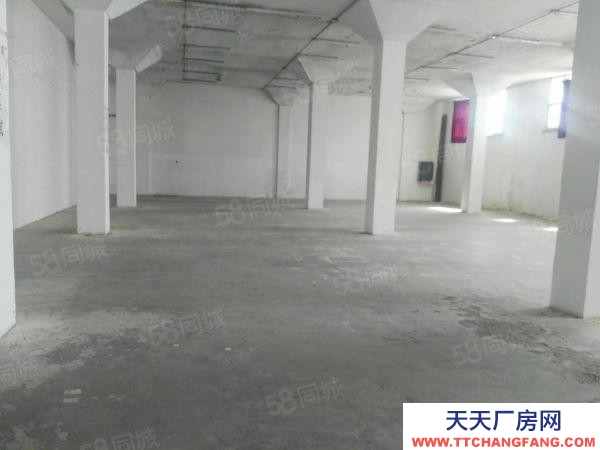 (出租) 安慶大觀廠房、倉庫出租（原染織總廠）