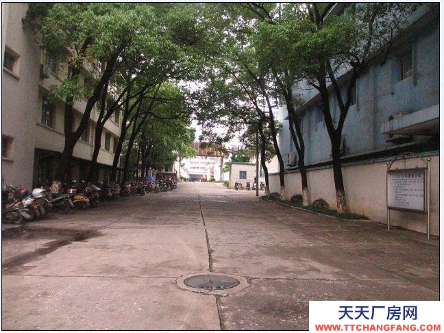 (出租) 安慶大觀廠房、倉庫出租（原染織總廠）