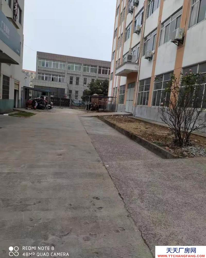 (出租) 安慶大觀廠房對外整體出租也可分租