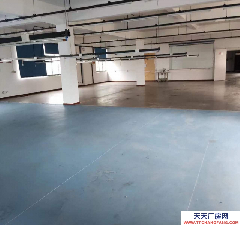 (出租) 安慶大觀廠房對外整體出租也可分租