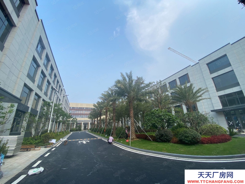 (出售) 佛山禪城張槎企業總部 1000方起50年紅本廠房 可進20噸大車