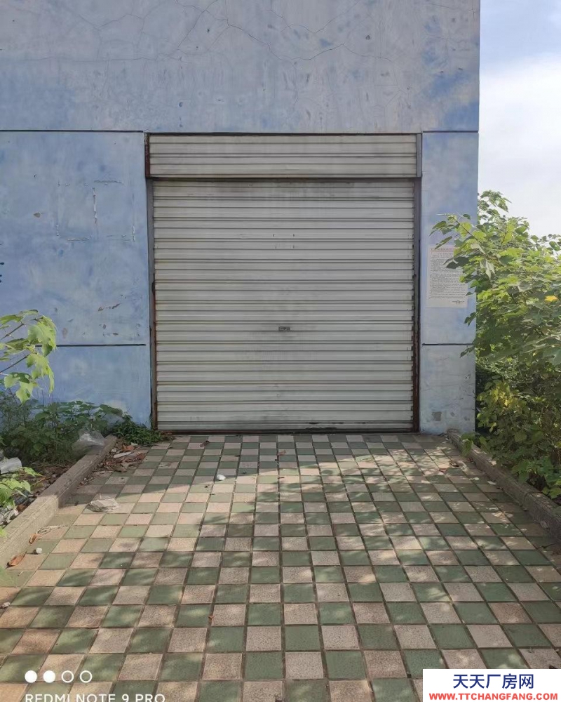 (出租)安慶大觀興利達工業園150平方廠房出租8元/平