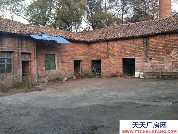 株洲市醴陵市榬木嶺房東自建標準廠房倉庫直租行業不限