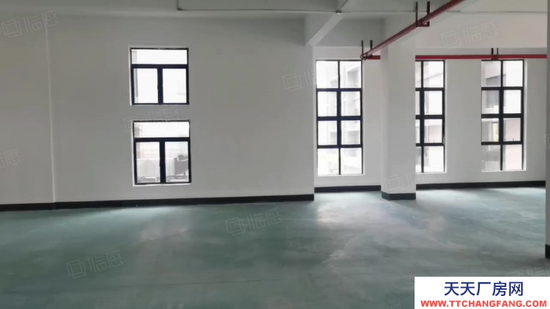 (出租) 佛山南海開發商直租全新獨棟倉庫出租配2臺大型貨梯可進大型拖掛證照齊全